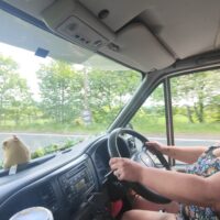 oplus_1050624